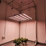 Titan-grow-700-02